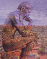 Art image of the "thinking man" statue superimposed on a landscape image of desert and scrub gasses and a cloudy blue sky