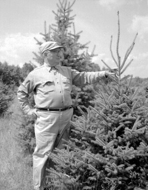 Black and White image of man holding a live Christmas tree outdoors