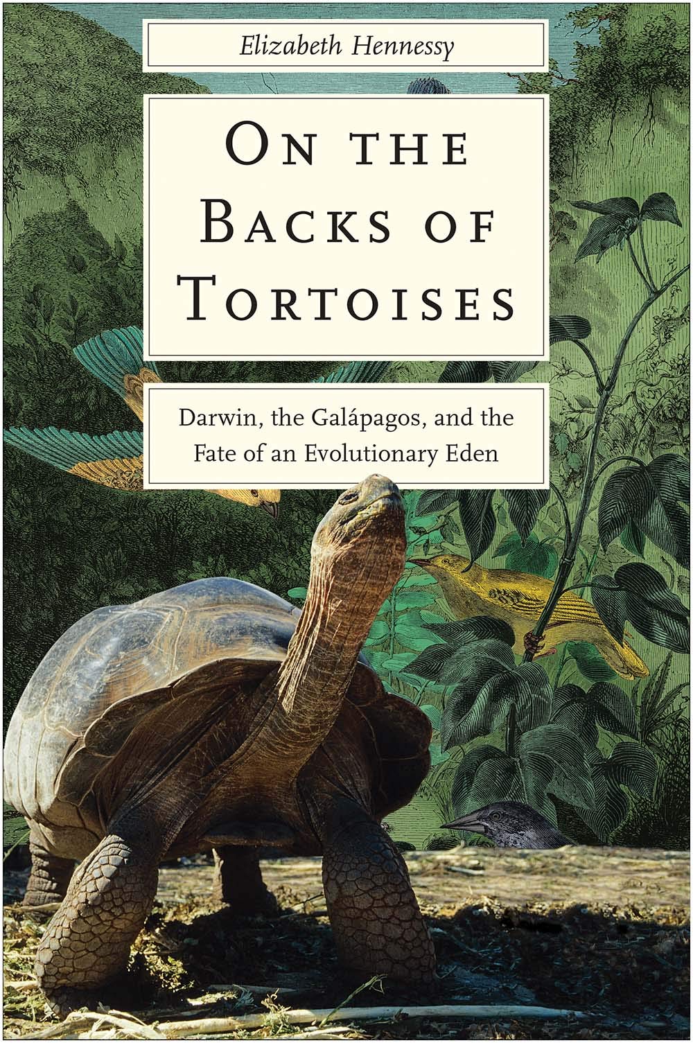 A cover of the book "On the Backs of Tortoises" There is an image of a big tortoise with his head facing up.