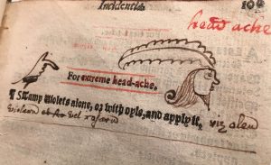 Image description: this is an image from an early modern herbal book. The text reads "for extreme head-ache" with a drawing of a person’s head in profile.