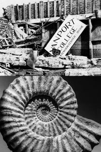 A diptych of a fossil on the lower level, juxtaposed with an image of Vanport Extension Center (the first incarnation of Portland State University) in the wake of a 1948 flood.
