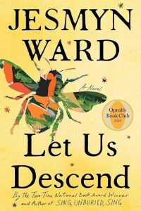 Let Us Descend a book image with a flying insect on it.