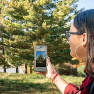 woman wearing glasses and large hoop earrings holds a phone outdoors in front of a large tree; phone shows same tree on its screen.